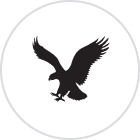 American Eagle Outfitters Logo